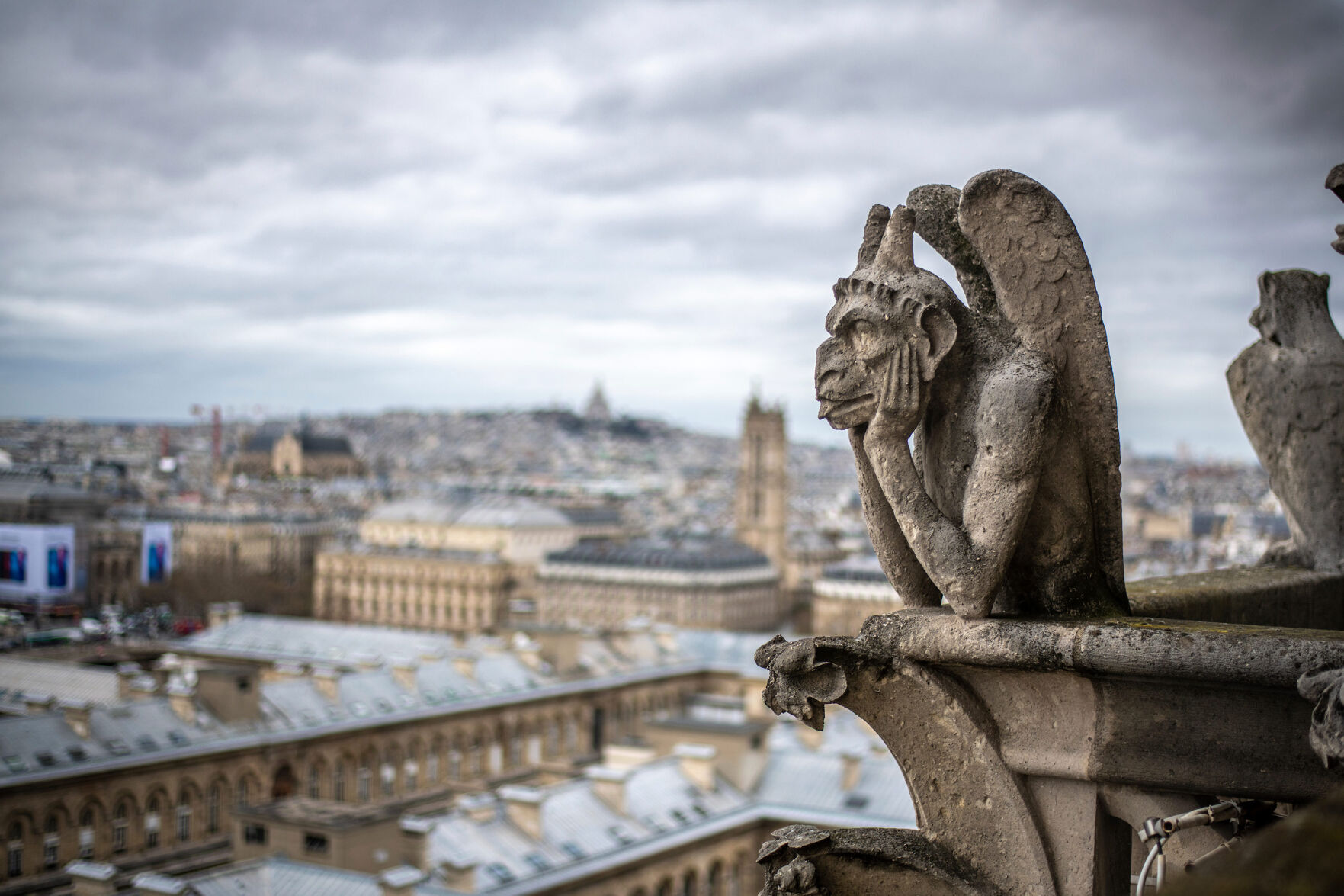 Notre Dame grotesques